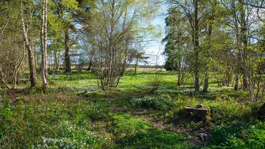 Tomter till salu i Gotland - foto 2