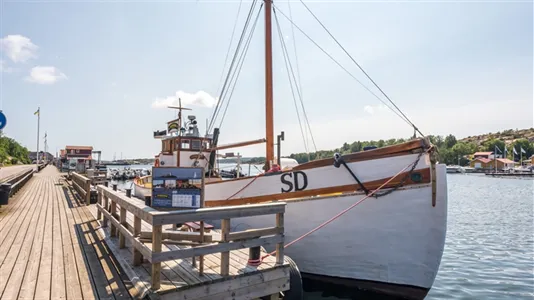 Tomter till salu i Tanum - foto 11