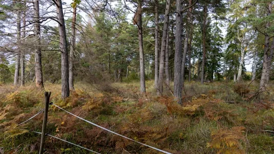 Tomter till salu i Gotland - foto 8