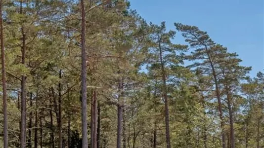 Tomter till salu i Gotland - foto 9