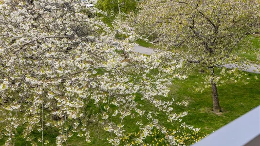 Bostadsrätter till salu i Söderort - foto 9