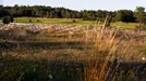 Tomt till salu, Gotland, Fårö, Fårö Hammars<span class="blurred street-number" onclick="ProcessAdRequest(5902011)"><span class="hint">Se väg-nr</span>[xxxxxxxx]</span>