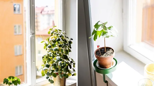Bostadsrätter till salu i Södermalm - foto 11