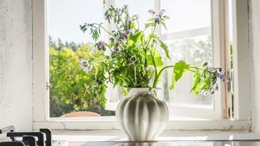 Fritidshus till salu i Gotland - foto 11