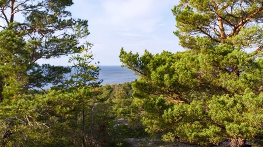 Fritidshus till salu i Gotland - foto 9