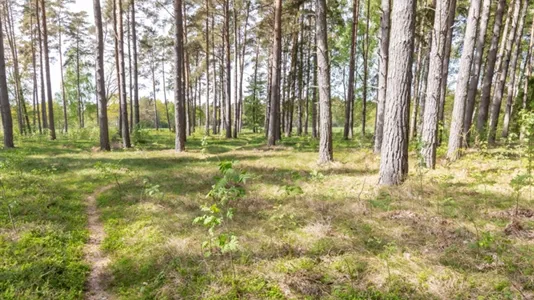 Tomter till salu i Gotland - foto 3