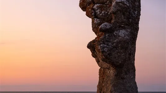 Tomter till salu i Gotland - foto 12