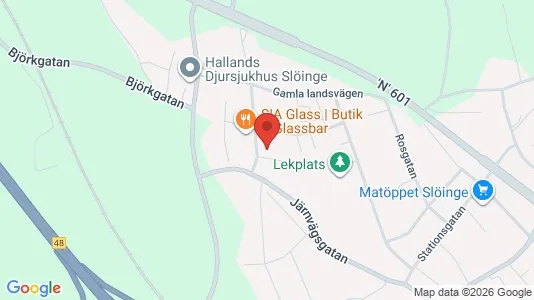 Lägenheter att hyra i Falkenberg - kort over placeringen