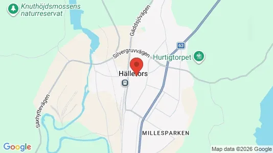 Fritidshus till salu i Hällefors - Bild från Google Street View