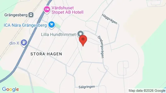 Bostadsrätter till salu i Ludvika - kort over placeringen
