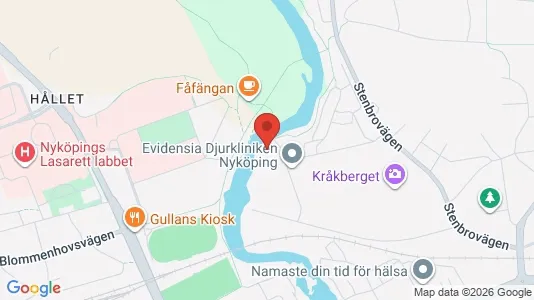Bostadsrätter till salu i Nyköping - kort over placeringen