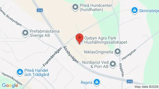 Lägenheter att hyra i Piteå - kort over placeringen
