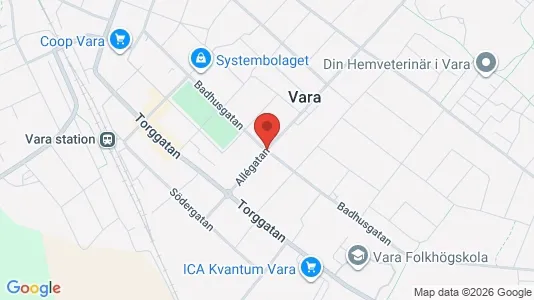 Lägenheter till salu i Vara - kort over placeringen