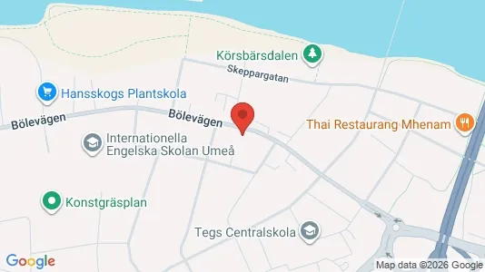 Bostadsrätter till salu i Umeå - Bild från Google Street View