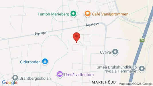 Lägenheter att hyra i Umeå - kort over placeringen