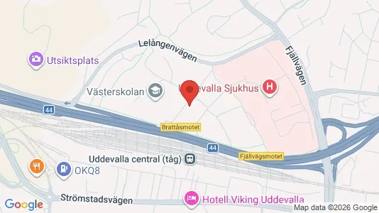 Lägenheter att hyra i Uddevalla - kort over placeringen