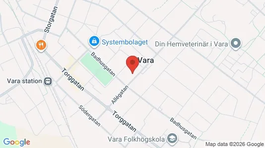 Lägenheter till salu i Vara - kort over placeringen