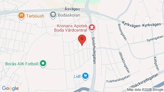 Bostadsrätter till salu i Borås - kort over placeringen