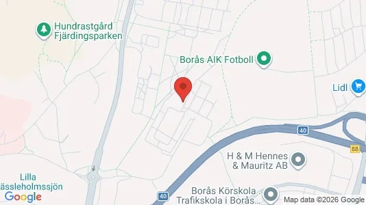 Lägenheter att hyra i Borås - kort over placeringen