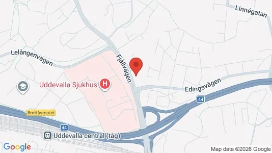 Lägenheter att hyra i Uddevalla - kort over placeringen