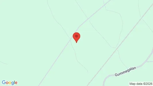 Lägenheter till salu i Älmhult - Bild från Google Street View