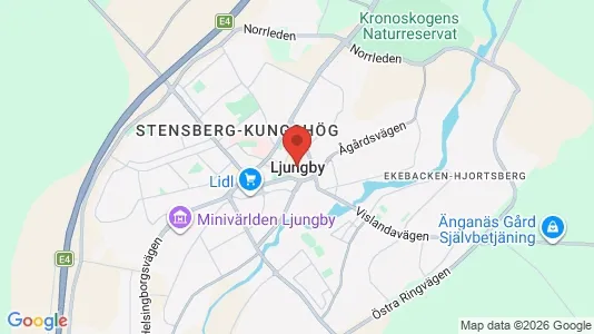 Hus till salu i Ljungby - Bild från Google Street View