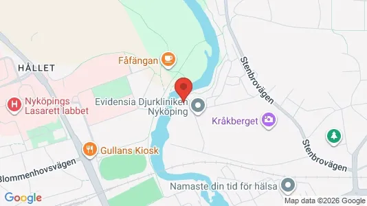 Bostadsrätter till salu i Nyköping - kort over placeringen