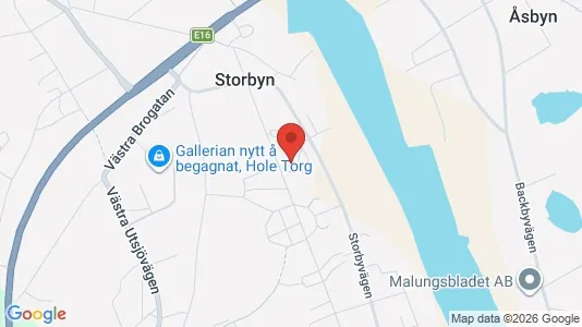 Lägenheter att hyra i Malung-Sälen - kort over placeringen