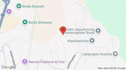 Lägenheter att hyra i Borås - kort over placeringen
