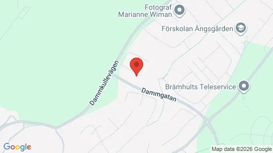Lägenheter att hyra i Borås - kort over placeringen