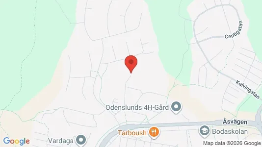 Lägenheter att hyra i Borås - kort over placeringen