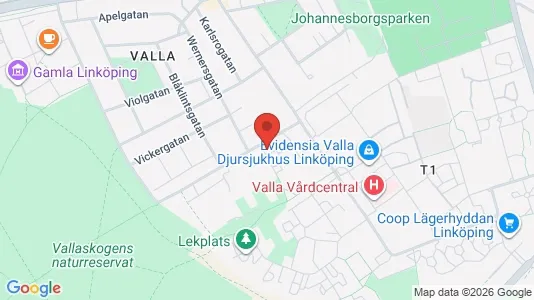 Lägenheter att hyra i Linköping - Bild från Google Street View