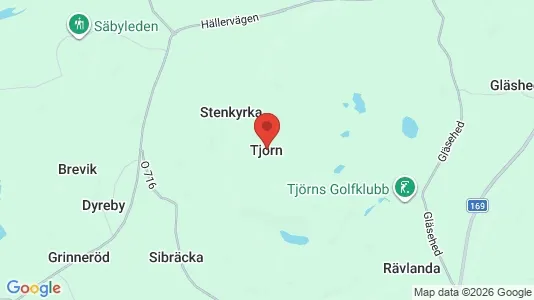 Hus till salu i Tjörn - Bild från Google Street View