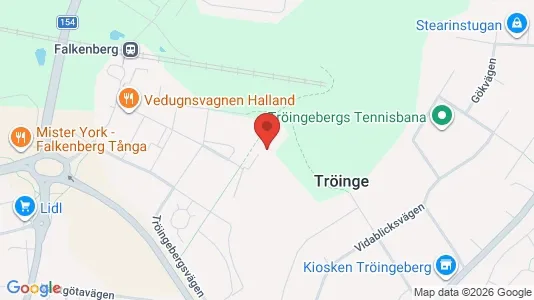 Lägenheter till salu i Falkenberg - kort over placeringen