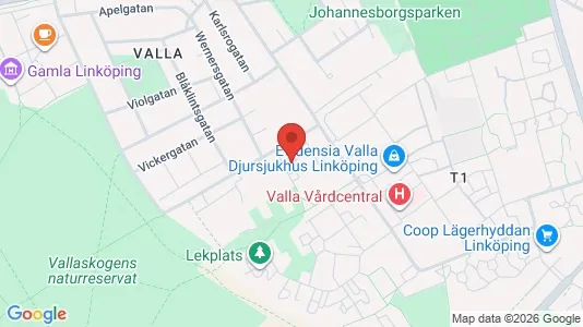 Lägenheter att hyra i Linköping - kort over placeringen