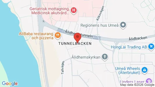 Lägenheter att hyra i Umeå - kort over placeringen