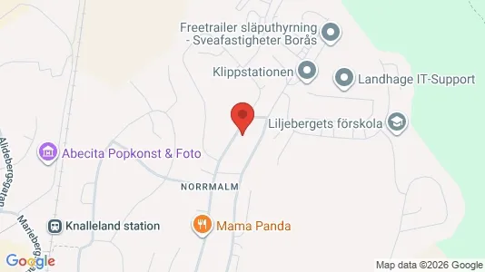 Lägenheter att hyra i Borås - kort over placeringen