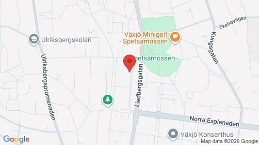 Bostadsrätter till salu i Växjö - kort over placeringen