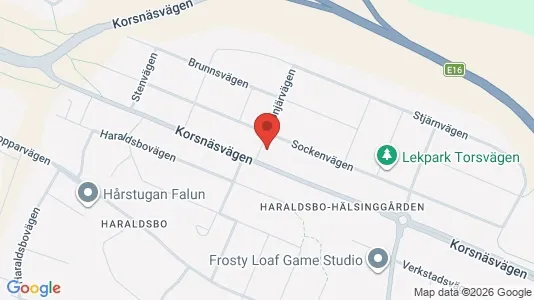 Bostadsrätter till salu i Falun - kort over placeringen
