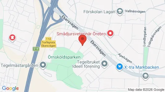 Lägenheter att hyra i Örebro - kort over placeringen