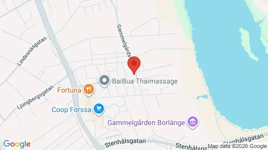 Lägenheter att hyra i Borlänge - kort over placeringen