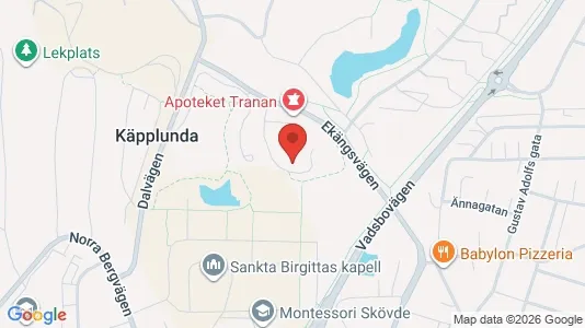 Lägenheter att hyra i Skövde - kort over placeringen