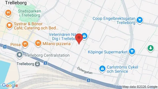 Lägenheter att hyra i Trelleborg - kort over placeringen