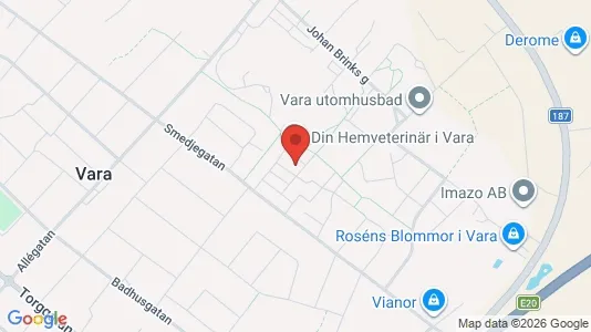 Lägenheter att hyra i Vara - kort over placeringen