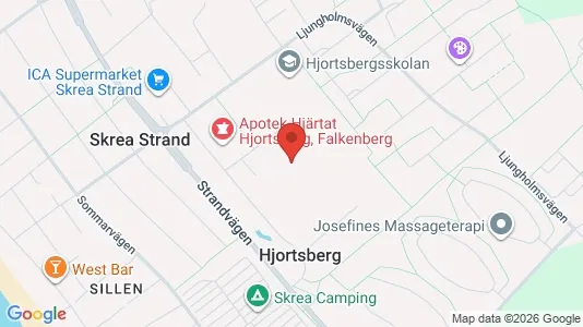 Lägenheter att hyra i Falkenberg - kort over placeringen