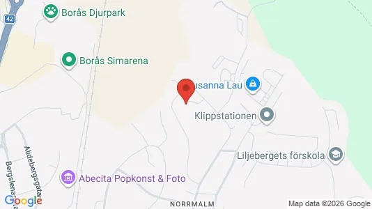 Lägenheter till salu i Borås - kort over placeringen