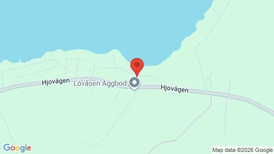 Lägenheter att hyra i Hjo - kort over placeringen