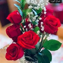 Moonaltawil söker lägenhet, hus eller radhus att hyra i Surahammar