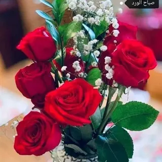 Jag söker 100-100 m2 lägenhet / hus / radhus i Surahammar att hyra