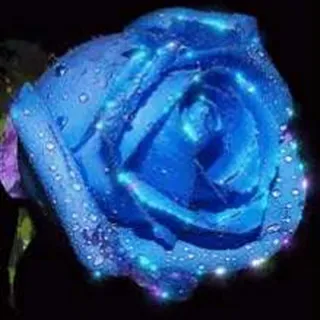 Rickard-The-Gamer söker 80-96 m² lägenhet / hus i Överkalix, Kalix att hyra